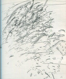 p Reflexions philosophiques sur l oeuvre d A v Briesen p p Laruelle Francois dir p