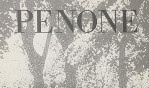 Penone   expo musée Rodin 1988