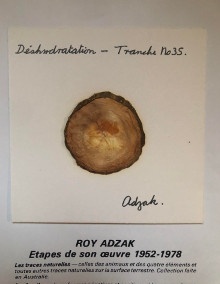  p roy adzak p p dehydration p p deshydratation p p p p Les Empreintes p p 1955 1972 p p Hahn Otto i et al i p 