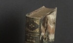 Nadaud Gustave   Contes, récits et scènes