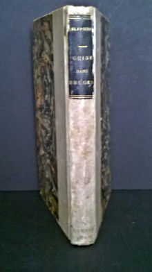 Guide dans Bruges ou description des objets d art ou monumens curieux que renferme cette ville Delepierre Octave