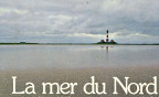 SCD   PB   Waddenzee