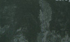 Leroy   Gal Cl. Bernard 63